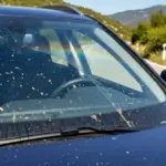 El ofertón de LIDL que ni Amazon puede igualar para que tu parabrisas reluzca como nuevo