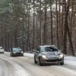 Cuántos tipos de neumáticos de invierno hay y cuál elegir para no pagar de más en el taller
