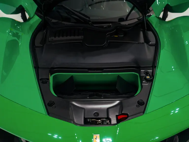 2014 ferrari laferrari jamiroquai 12 Motor16