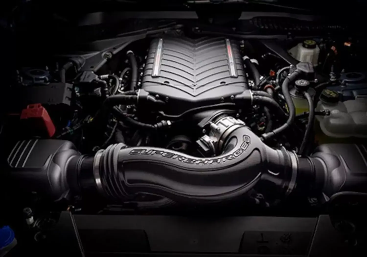 2026 Ford Performance 5.0 V8 Coyote. Imagen portada.