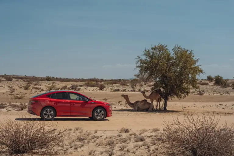 El épico viaje de este Škoda Enyaq Coupé RS a la Cuna de la Humanidad