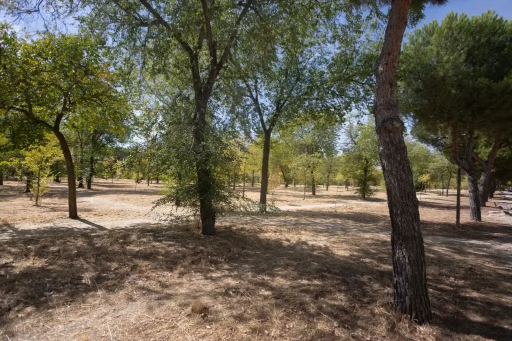 El nuevo tramo de carretera con el que sueñan quienes viven en Colmenar Viejo, Las Rozas o Tres Cantos y que es intocable desde Enrique III 26 Motor16 EuropaPress 7001119 parque forestal polvoranca perteneciente proyecto medioambiental arco verde Motor16