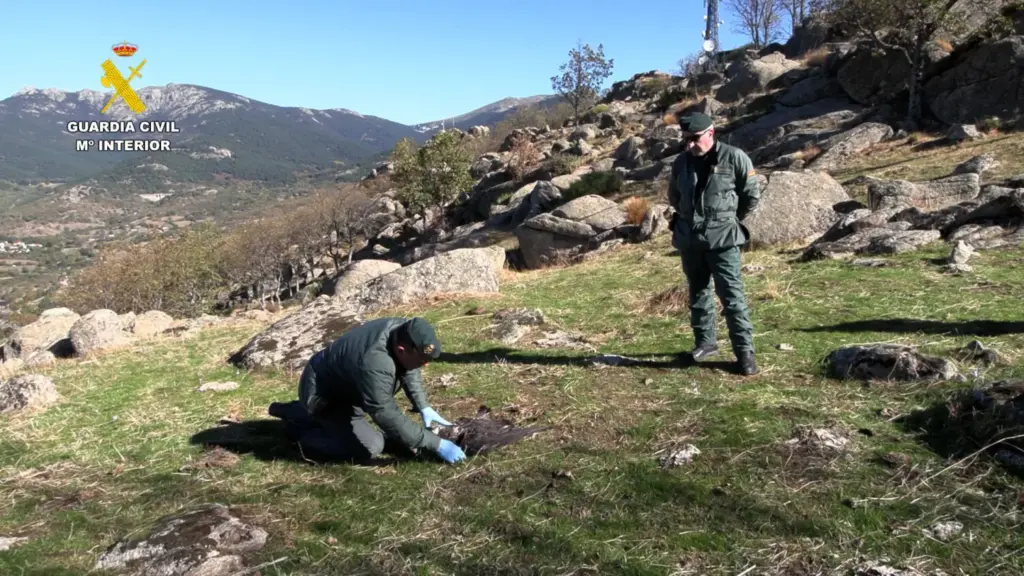 Guardia Civil Seprona Motor16