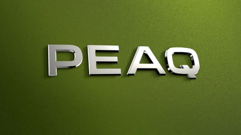 Skoda Peaq 1 Motor16