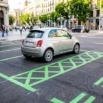 Alfonso (55), controlador de la ORA: «¿Sabes por qué hay plazas de aparcamiento de distintos colores?»