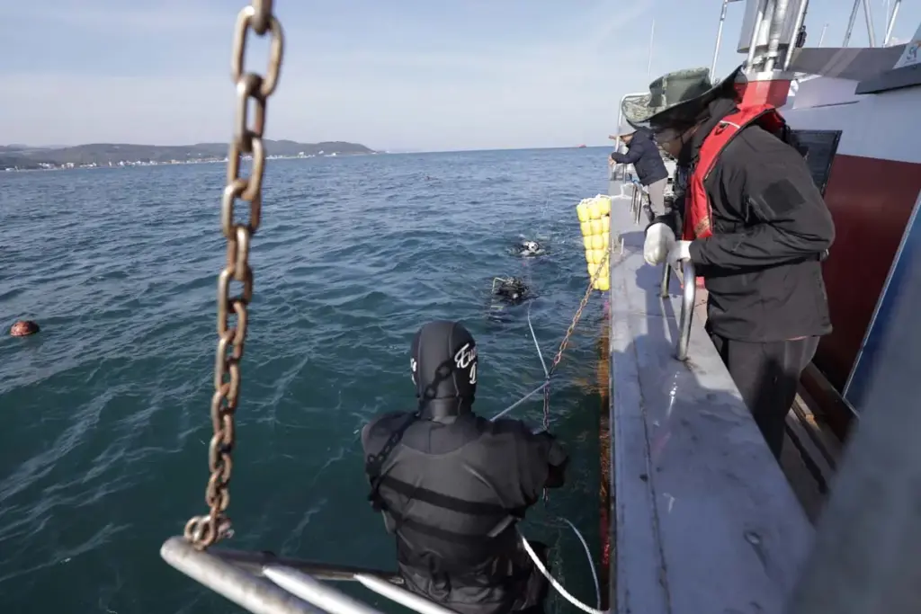 HYUNDAI Bosques sin Nombre2 Motor16