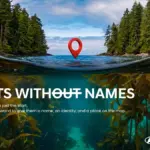 Hyundai da nombre a los bosques marinos invisibles del mundo para salvarlos del olvido