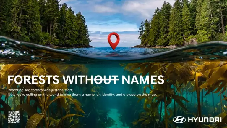 Hyundai da nombre a los bosques marinos invisibles del mundo para salvarlos del olvido