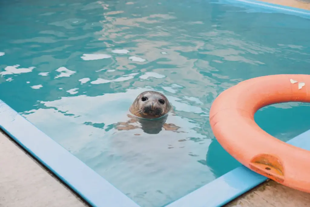 NISSAN QASHQAI EPOWER RESCATE MARINO 17 Motor16