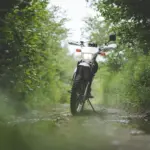 BMW F 450 GS: la nueva trail para carnet A2 que arrasa