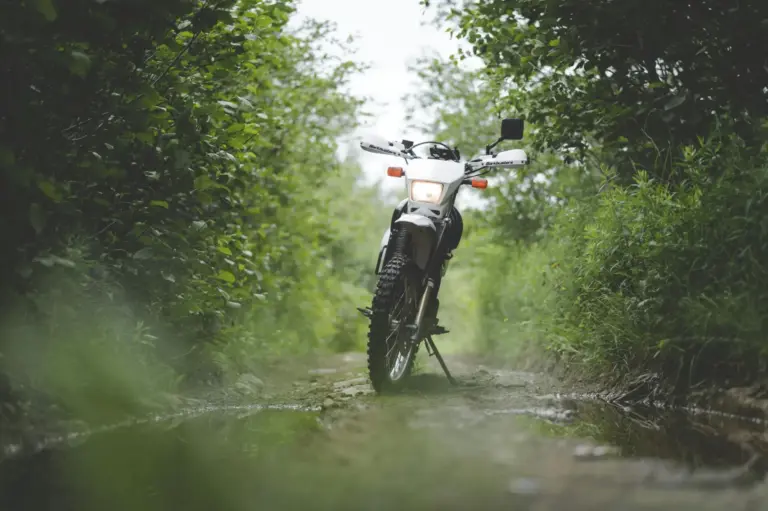 BMW F 450 GS: la nueva trail para carnet A2 que arrasa