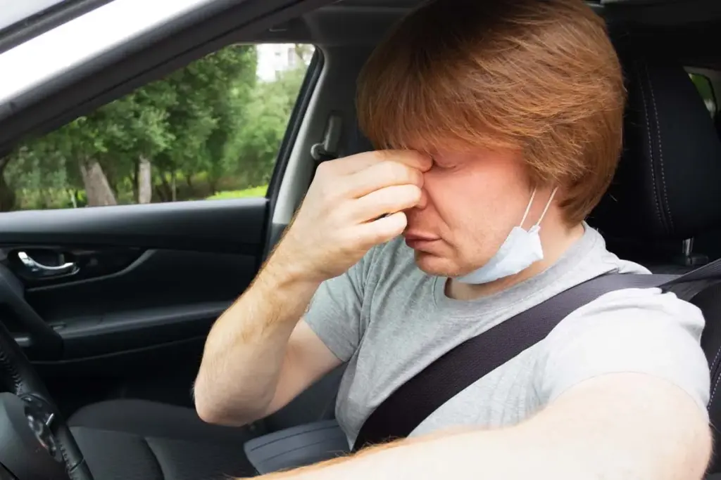 Alergia al polen al volante: consejos para conducir seguro en el mes más crítico 2 Motor16 Alergia, polen, conducción, Alquiber