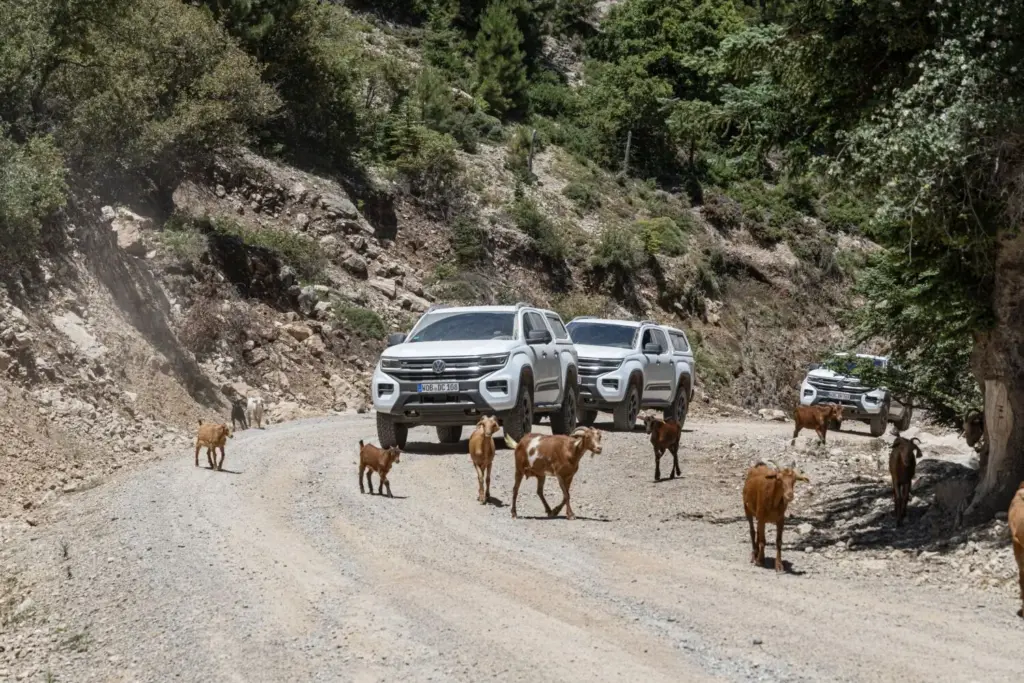 Amarok Adventure Tour 6 Motor16