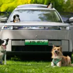 Viajar con tu perro en verano sin estrés: la guía de un etólogo y el JAECOO 5, primer coche certificado ‘pet-friendly’