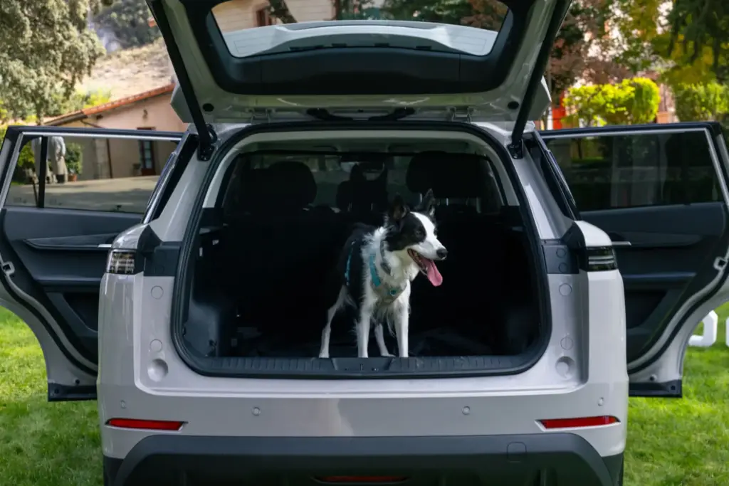 Viajar con tu perro en verano sin estrés: la guía de un etólogo y el JAECOO 5, primer coche certificado 'pet-friendly' 6 Motor16 JAECOO 5, pet friendly, perro, mascota