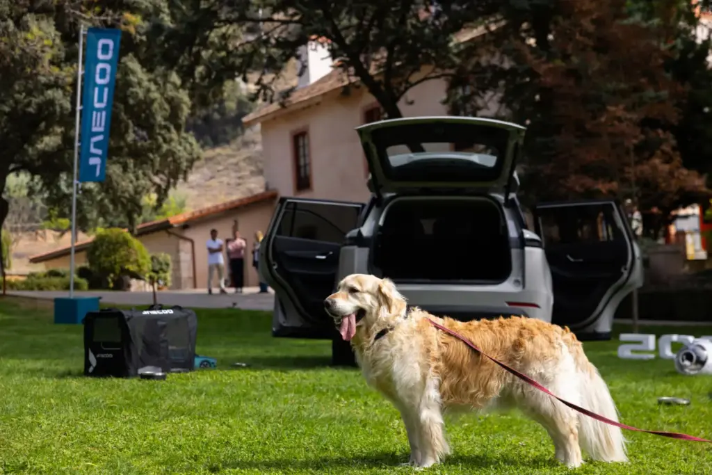 Viajar con tu perro en verano sin estrés: la guía de un etólogo y el JAECOO 5, primer coche certificado 'pet-friendly' 5 Motor16 JAECOO 5, pet friendly, perro, mascota