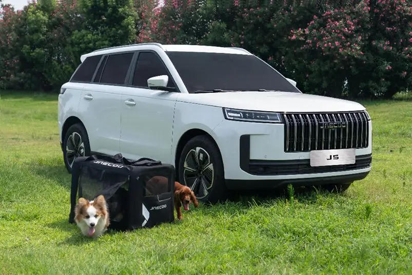 Viajar con tu perro en verano sin estrés: la guía de un etólogo y el JAECOO 5, primer coche certificado 'pet-friendly' 2 Motor16 JAECOO 5, pet friendly, perro, mascota