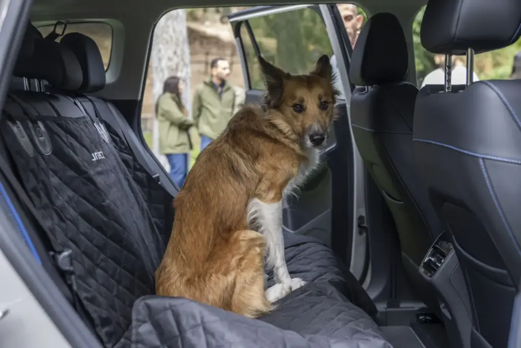 Viajar con tu perro en verano sin estrés: la guía de un etólogo y el JAECOO 5, primer coche certificado 'pet-friendly' 4 Motor16 JAECOO 5, pet friendly, perro, mascota