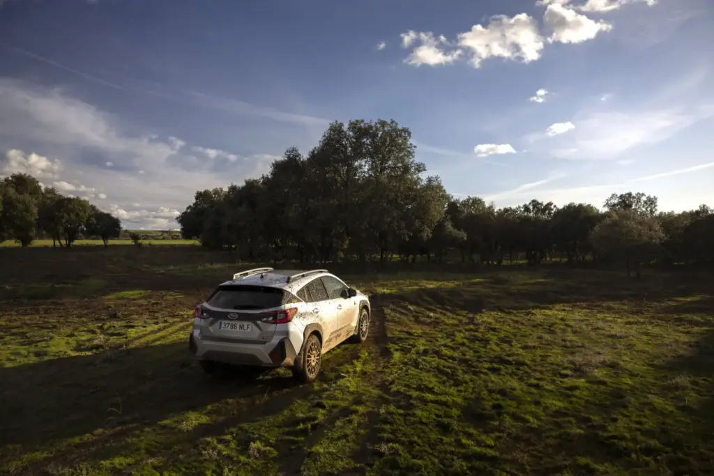 Subaru Crosstrek 4Wild 12 Motor16