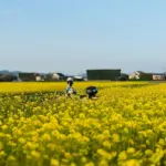 AEMET avisa: la primavera cálida de 2026 (1,6 °C más) exige precaución al conducir moto
