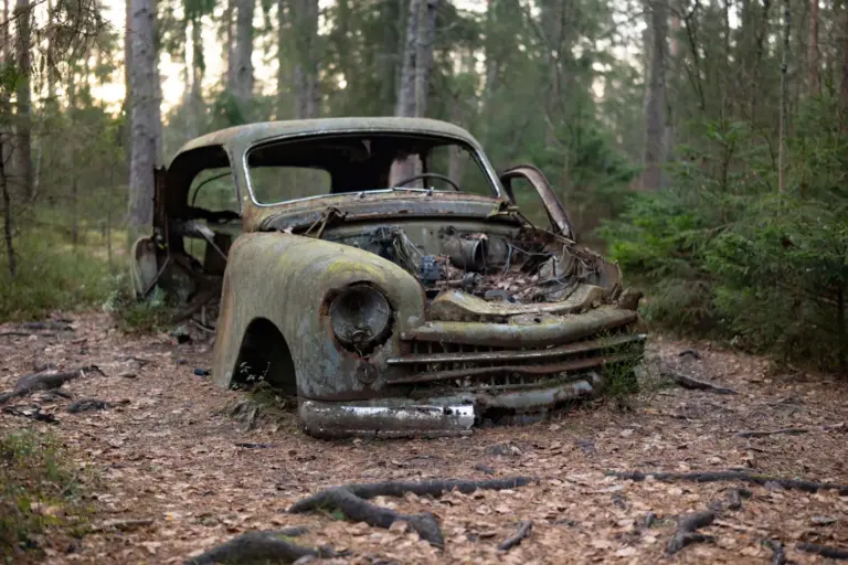 El cementerio de coches clásicos que un millonario abandonó en el bosque del Neandertal