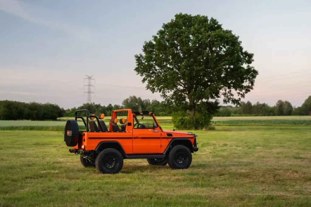 1990 EMC Mercedes Clase G GD250 3 Motor16