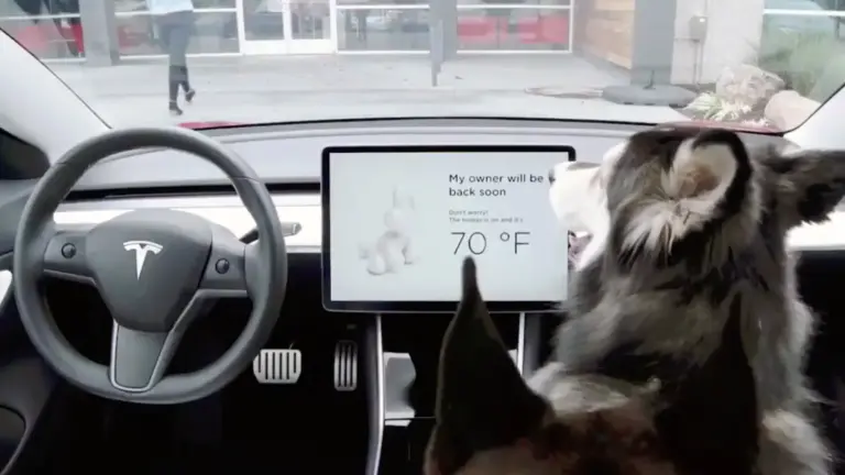 Tesla Pet Mode y Sentry Mode: mantén a tu mascota segura y tu coche vigilado sin moverte del sitio