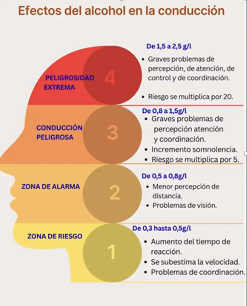 EFECTOS DEL ALCOHOL EN LA CONDUCCION Motor16