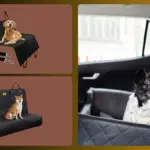 Protector de asiento para perro: los 10 mejores de 2026 | Guía de compra