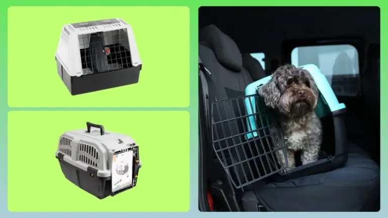 Los 10 mejores transportines para perro en coche de 2026