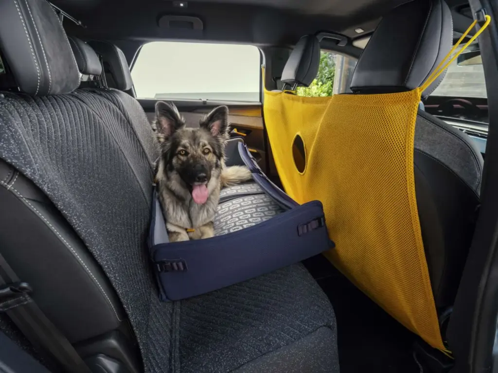Peugeot E-5008 Dog Edition Concept. Visión canina 2 Motor16 PEUGEOT E 5008 DOG EDITION 3 Motor16