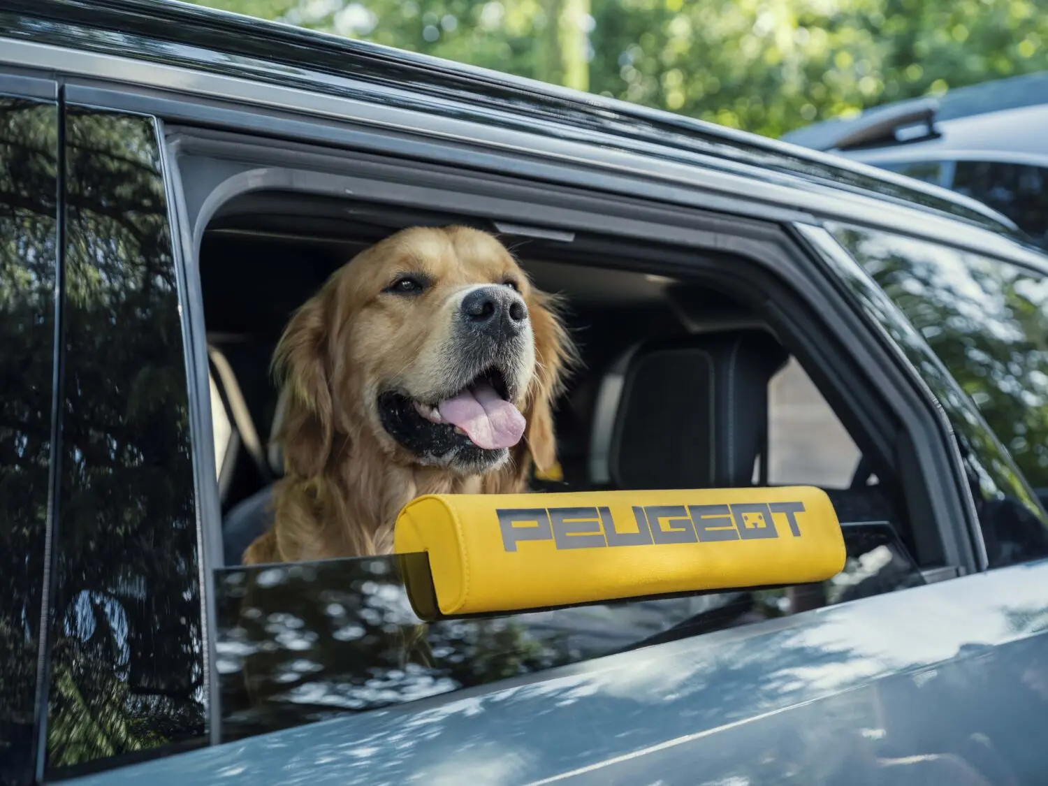 Peugeot E-5008 Dog Edition Concept. Visión canina