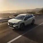 Suzuki S-Cross: dos décadas de evolución para uno de los pioneros del SUV compacto