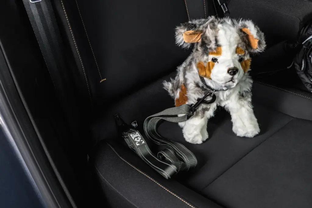 Toma de contacto con el Dacia Striker: tres coches en uno 69 Motor16 dacia striker 47 Motor16