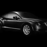 La pintura ultra negra para coches que absorbe la luz y elimina reflejos llega desde China