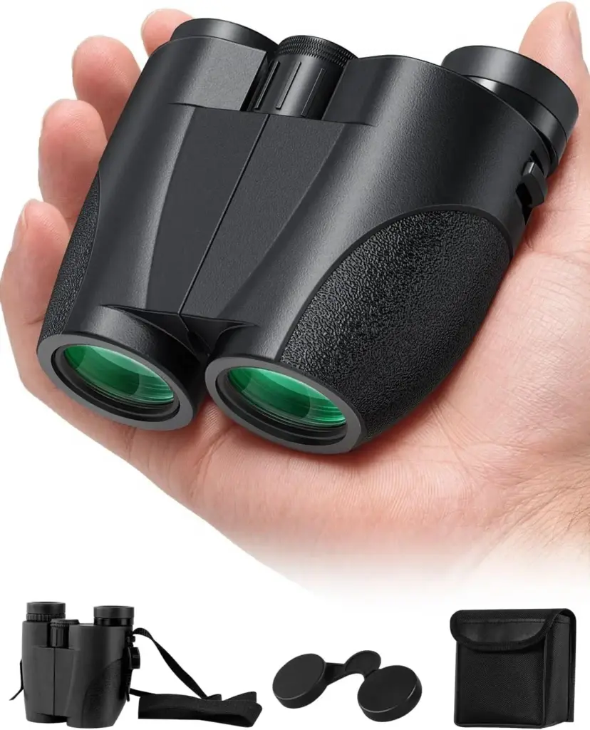 ¿Vas a ver el eclipse solar el 12 de agosto? Estos son los 10 productos de Amazon que pueden marcar la diferencia 3 Motor16 Prismáticos eclipse. Amazon