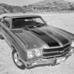 Un número de bastidor reúne a un Chevrolet Chevelle SS 1971 con su dueño 33 años después