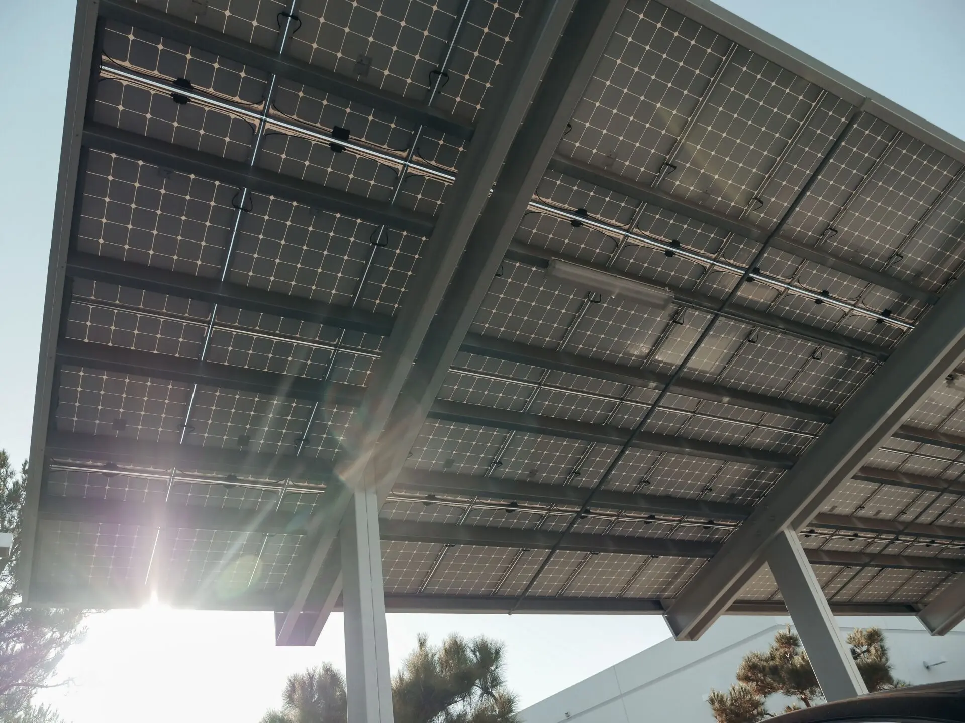 Coche solar energía: así es el Luminetta de Clemson y BMW que genera más de lo que consume en Estados Unidos 1 Motor16 BMW coche solar