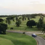 Pebble Beach estrena una clase oficial para coches de competición japoneses en su 75 aniversario