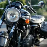 QJ Motor SRK 800 llega a España: primeras tetracilíndricas desde 7.499 euros