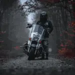 Hoja mojada, menos luz y más fauna: los tres riesgos que exigen más atención al conducir moto en otoño
