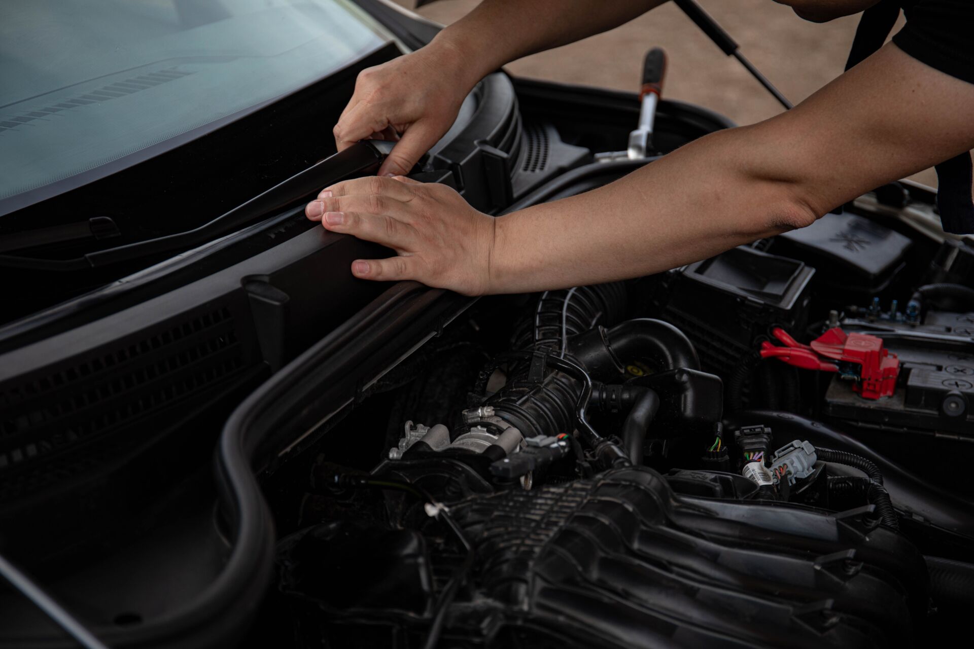 mantenimiento del coche en otoño