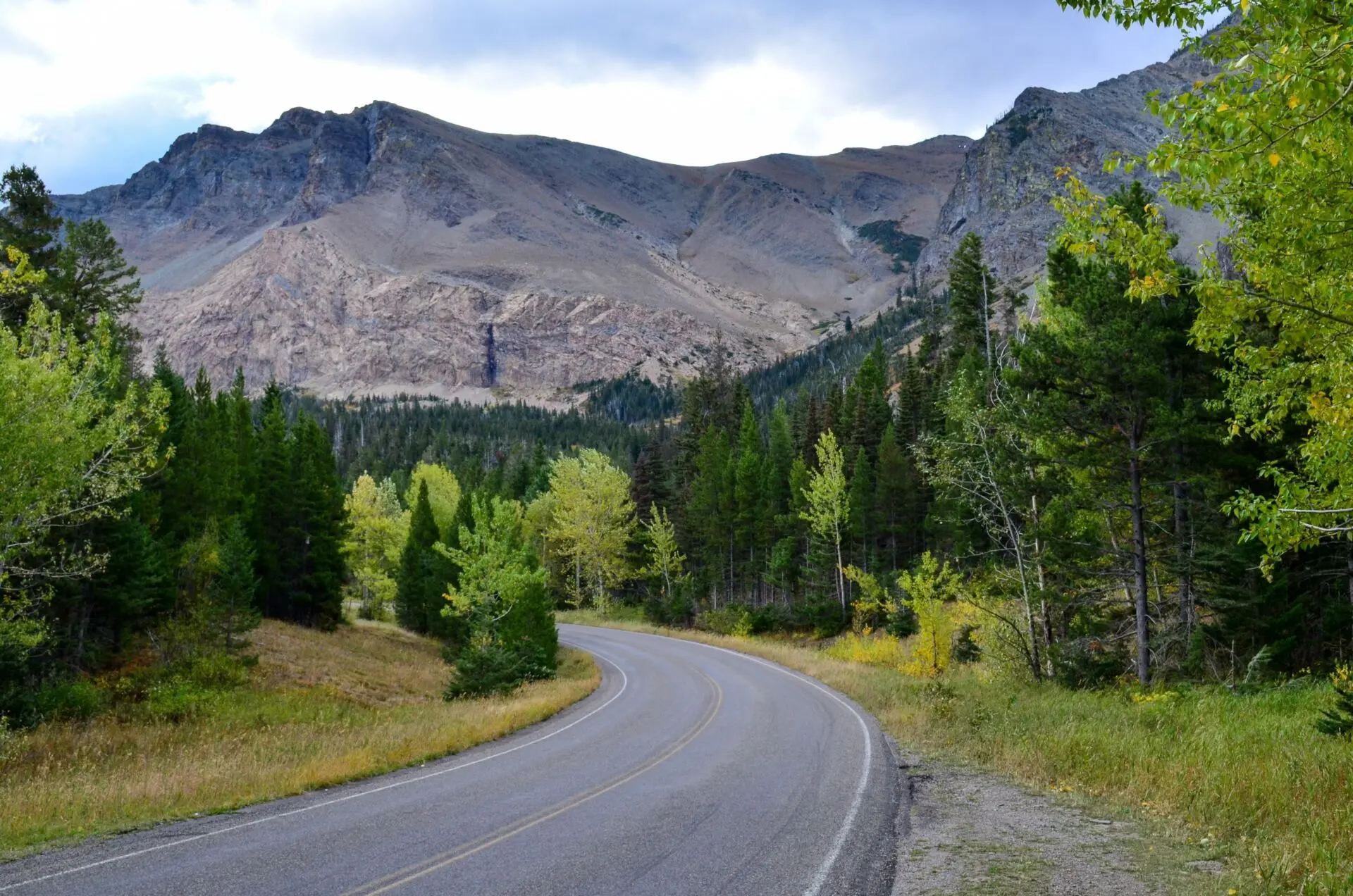 California cierra el vacío legal que permitía matricular un coche de lujo en Montana para pagar menos impuestos 1 Motor16 impuesto de matriculación California